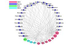 微生物多樣性/擴增子測序